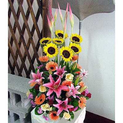 點我回上一頁~~