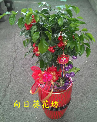 點我回上一頁~~