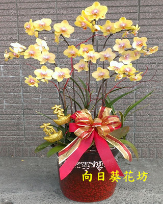 點我回上一頁~~