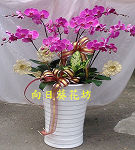 駿業興旺(8株)-落地型