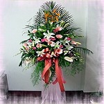 藝術高架花籃/對