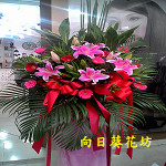 藝術高架花籃/對