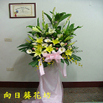 藝術高架花籃/對